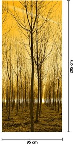 Fototapet pentru ușă - Plantație de pomi (95x205cm)