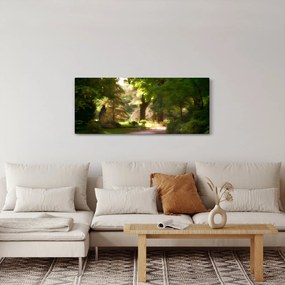 Tablou cu parc (120x50 cm)