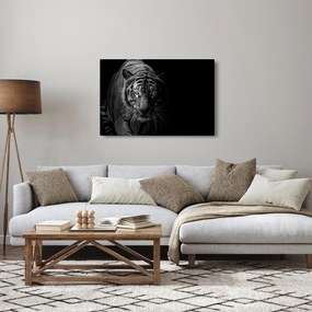 Tablou - Tigru sălbatic (90x60 cm)