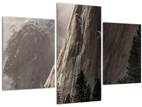 Tablou din valea Yosemite parcul național, SUA (90x60 cm)