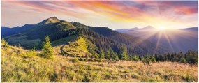 Tablou - Peisaj forestier (120x50 cm)
