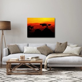 Tablou -Apus de soare (70x50 cm)