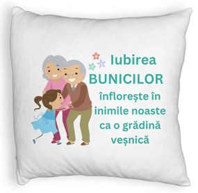 Perna Decorativa Fluffy, pentru Bunici 6, 40x40 cm, Alba, Husa Detasabila, Burduf
