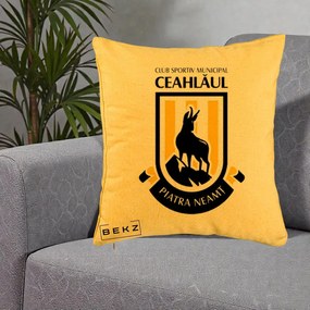 Perna Personalizata CSM Ceahlaul Piatra Neamt Fotbal, 40x40 cm, Galben, Husa Detasabila, Perna Inclusa, BEKZ®
