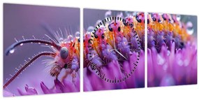 Tablou - Caterpillar (cu ceas) (90x30 cm)