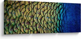 Tablou - Pene de păun (cu ceas) (90x30 cm)