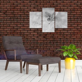 Tablou - Bufniță,alb-negru (90x60 cm)