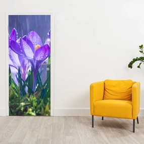 Fototapet pentru ușă - Flori în ploaie (95x205cm)