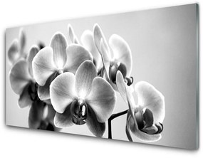 Tablou pe sticla Flori Floral Gray