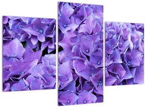 Tablou cu flori violete (90x60 cm)