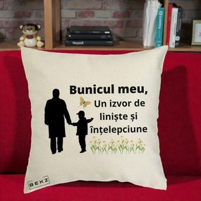 Cadou pentru Bunic - Perna Personalizata Bunicul Meu Izvor de Liniste cu Fluture si Baietel, 40x40 cm, Ecru, Husa Detasabila, Perna Inclusa, BEKZ®