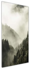 Tablou pe sticlă acrilică Ceață peste pădure