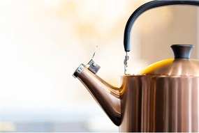 Ceainic arămiu din oțel inoxidabil 1,5 l Diamante – Vialli Design