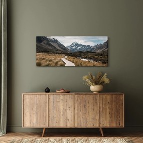 Tablou - Poteca în valea muntelui Mt. Cook (120x50 cm)