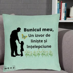 Cadou pentru Bunic - Perna Personalizata Bunicul Meu Izvor de Liniste cu Fluture si Fetita, 40x40 cm, Verde Menta, Husa Detasabila, Perna Inclusa, BEKZ®