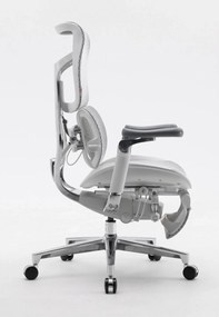 Scaun ergonomic SIHOO DORO S300 ADAPTIVE, cotiere 6D ultra moi, suport lombar adaptiv, spătar reglabil pe inaltime, mecanism multifunctional inclinare/blocare, pivotant, Mesh, Gri