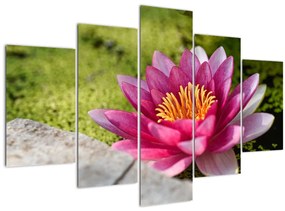 Tablou - Lotus (150x105 cm)