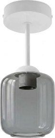 BRILAGI - LED plafonieră aplicată R GLASS 1xE27/60W/230V Ø 14 cm alb/gri fumuriu