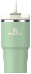 Termos verde salvie cu pai din oțel inoxidabil 600 ml Quencher H2.0 FlowState Tumbler Pistachio – Stanley