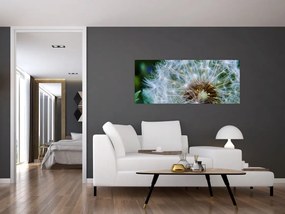 Tabloul cu păpădie desflorit (120x50 cm)