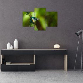 Tablou cu păun (90x60 cm)