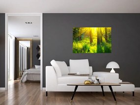 Tablou - Trezirea de primăvară a pădurii (90x60 cm)
