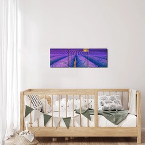 Tablou - Câmp de levănțica (cu ceas) (90x30 cm)