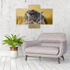 Tablou cu pisica pe fotoliu (90x60 cm)