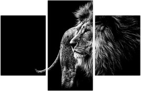 Tablou - Leu, alb și negru (90x60 cm)