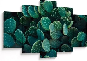 Tablou - Opuntia (150x105 cm)