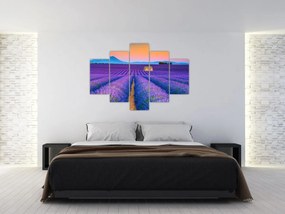 Tablou - Câmp de levănțica (150x105 cm)