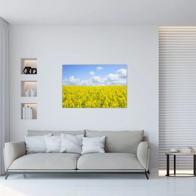 Tablou - Câmp galben (90x60 cm)