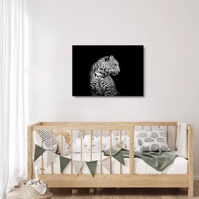 Tablou pe sticlă - Leopardul (70x50 cm)
