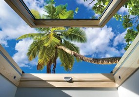 Fototapet - Privire din geam spre un palmier (254x184 cm), în 8 de alte dimensiuni noi