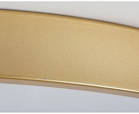 Rabalux 71038 -LED Plafonieră LED dimabilă TESIA LED/60W/230V 3000-6000K+telecomandă