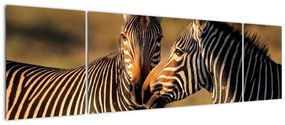Tablou - zebre (170x50cm)