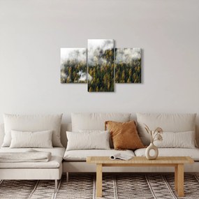 Tablou - Pădure în nori (90x60 cm)