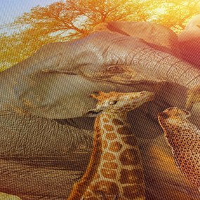 Tablou - Animale africane (90x60 cm)