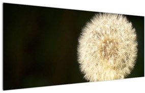 Tablou cu păpădie gri (120x50 cm)