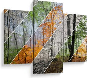 Tablou - Schimbarea anotimpurilor (90x60 cm)