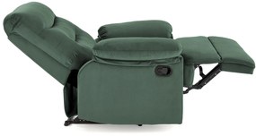 Fotolilu Drago (verde închis). 1092519