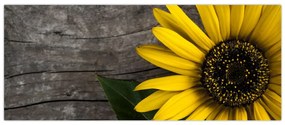 Tablou - Floare de floarea soarelui (120x50 cm)