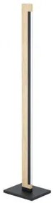 Lampadar modern led 19.5W Camacho 99296 Eglo