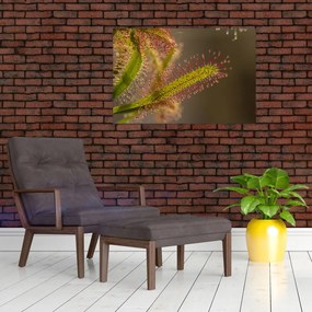 Tablou cu plantă (90x60 cm)