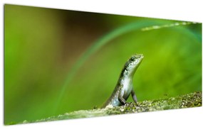Tablou cu șopârlă (120x50 cm)