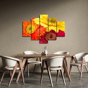 Tablou - Flori Gerbery (150x105 cm)