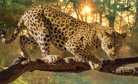 Fototapet - Jaguar Forest Woods (254x184 cm)