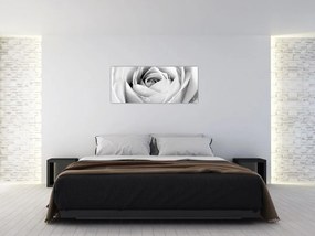 Tablou - Detailu de floare de trandafir (120x50 cm)
