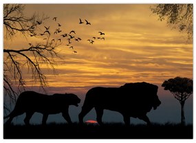 Tablou cu Safari (70x50 cm)