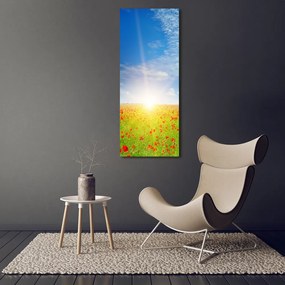 Tablou canvas Câmp de maci